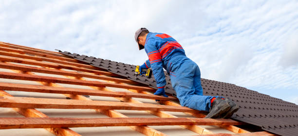 Best Siding  in Edenton, NC